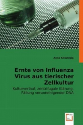 Kniha Ernte von Influenza Virus aus tierischer Zellkultur Anne Knöchlein
