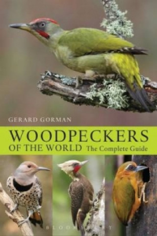 Kniha Woodpeckers of the World Gerard Gorman