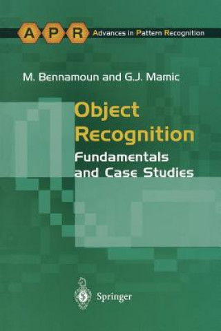 Книга Object Recognition M. Bennamoun