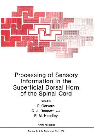 Книга Processing of Sensory Information in the Superficial Dorsal Horn of the Spinal Cord 