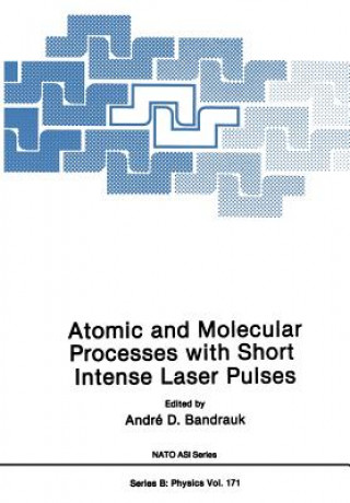 Kniha Atomic and Molecular Processes with Short Intense Laser Pulses Andre D. Bandruk