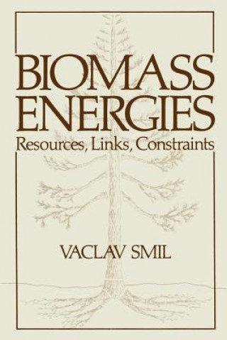 Kniha Biomass Energies Vaclav Smil