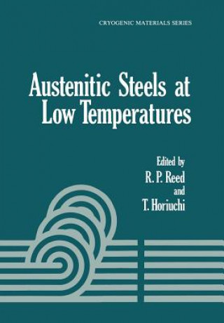 Książka Austenitic Steels at Low Temperatures T. Horiuchi