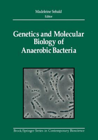 Kniha Genetics and Molecular Biology of Anaerobic Bacteria Madeleine Sebald