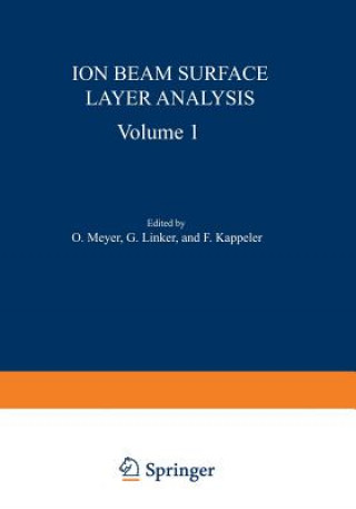 Könyv Ion Beam Surface Layer Analysis Otto Meyer