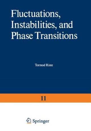 Książka Fluctuations, Instabilities, and Phase Transitions T. Riste