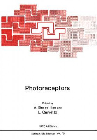 Carte Photoreceptors Antonio Borsellino