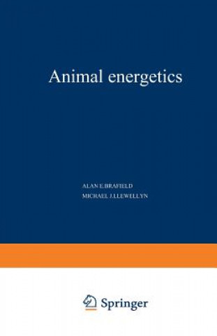 Carte Animal Energetics 