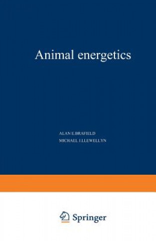 Book Animal Energetics 