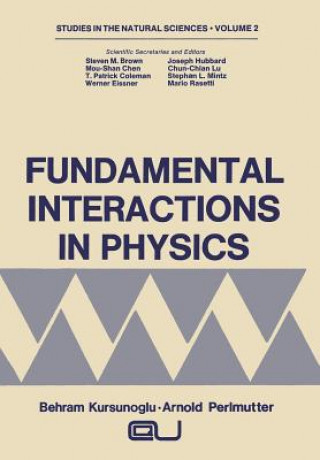 Buch Fundamental Interactions in Physics Arnold Perlmutter