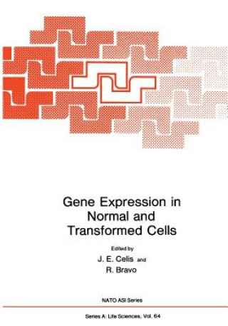 Kniha Gene Expression in Normal and Transformed Cells J. E. Celis