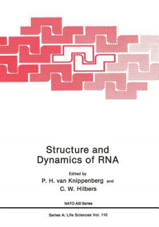 Buch Structure and Dynamics of RNA 