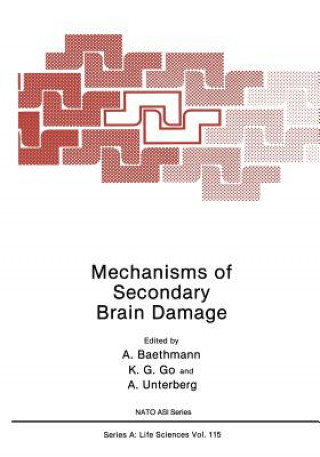 Kniha Mechanisms of Secondary Brain Damage 