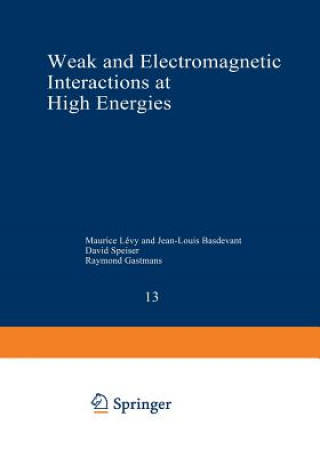 Kniha Weak and Electromagnetic Interactions at High Energies Maurice Levy