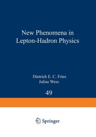 Könyv New Phenomena in Lepton-Hadron Physics D. E. Fries