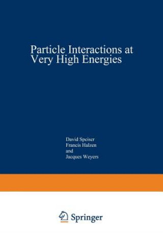 Kniha Particle Interactions at Very High Energies 