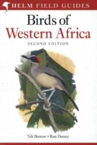 Książka Field Guide to Birds of Western Africa Nik Borrow