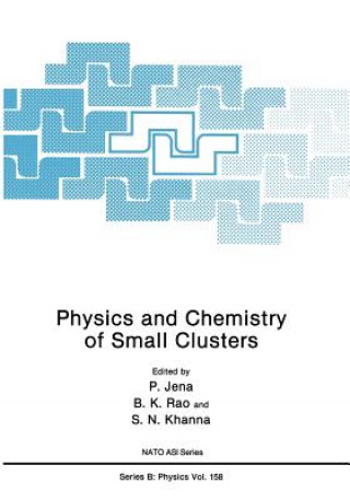 Książka Physics and Chemistry of Small Clusters P. Jena