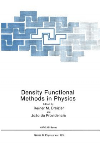 Książka Density Functional Methods In Physics 