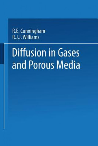 Libro Diffusion in Gases and Porous Media Roberto Cunningham