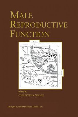 Könyv Male Reproductive Function, 1 Christina Wang