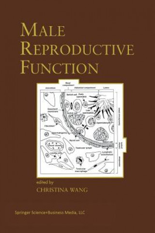 Книга Male Reproductive Function, 1 Christina Wang