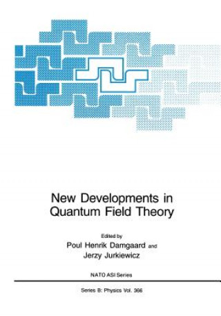 Könyv New Developments in Quantum Field Theory Poul Henrik Damgaard