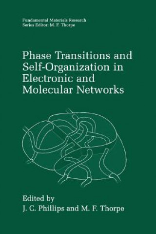 Livre Phase Transitions and Self-Organization in Electronic and Molecular Networks J.C. Phillips