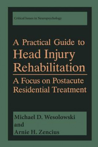 Könyv Practical Guide to Head Injury Rehabilitation Michael D. Wesolowski