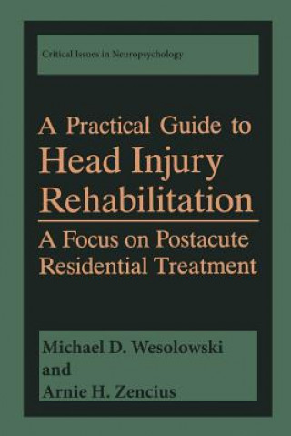 Buch Practical Guide to Head Injury Rehabilitation Michael D. Wesolowski