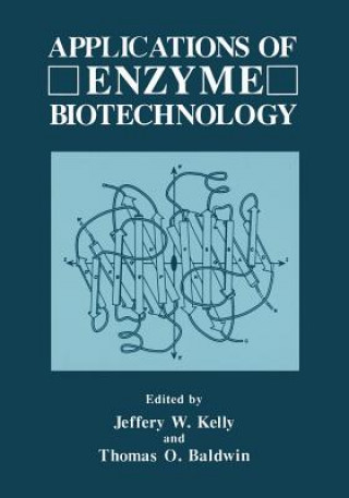 Kniha Applications of Enzyme Biotechnology Jeffrey W. Kelly