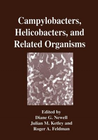 Kniha Campylobacters, Helicobacters, and Related Organisms Diane G. Newell