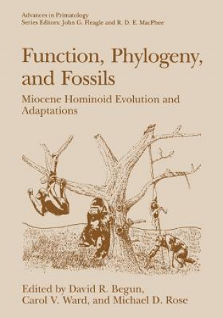 Könyv Function, Phylogeny, and Fossils, 1 David R. Begun