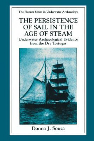 Carte Persistence of Sail in the Age of Steam Donna J. Souza