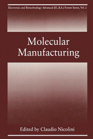 Kniha Molecular Manufacturing C. Nicolini