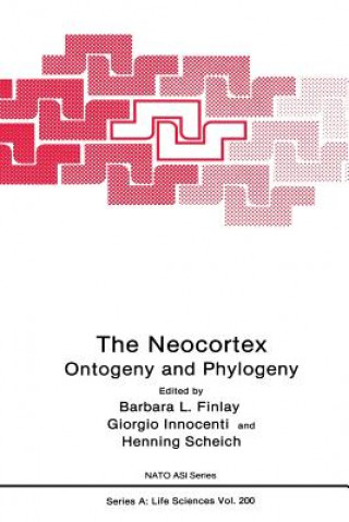 Könyv The Neocortex, 1 Barbara L. Finlay
