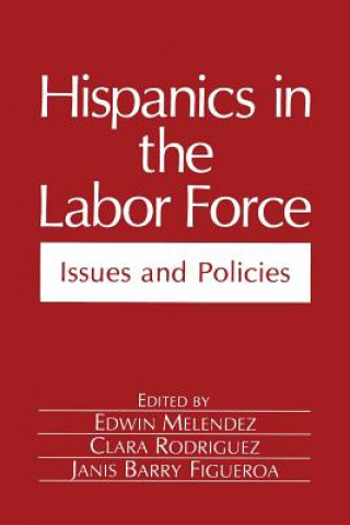 Könyv Hispanics in the Labor Force Edwin Melendez