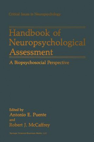 Kniha Handbook of Neuropsychological Assessment Antonio E. Puente