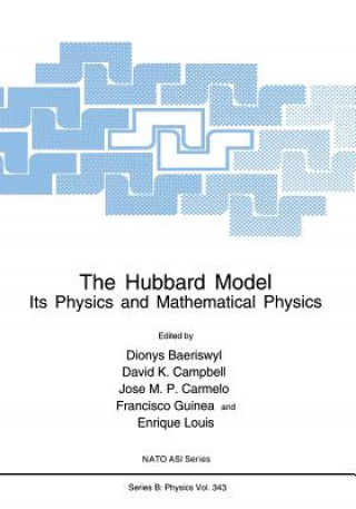 Buch The Hubbard Model, 1 Dionys Baeriswyl