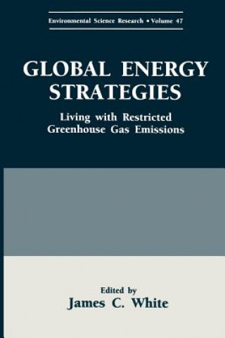 Knjiga Global Energy Strategies James C. White