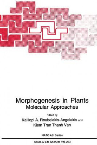 Kniha Morphogenesis in Plants Kalliopi A. Roubelakis-Angelakis