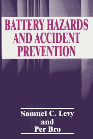 Kniha Battery Hazards and Accident Prevention P. Bro