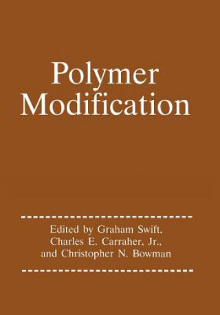 Kniha Polymer Modification Graham G. Swift