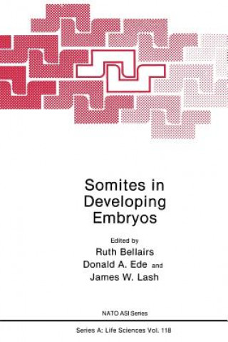 Carte Somites in Developing Embryos Ruth Bellairs