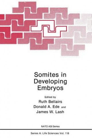 Knjiga Somites in Developing Embryos Ruth Bellairs