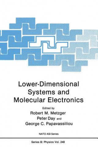 Könyv Lower-Dimensional Systems and Molecular Electronics Robert M. Metzger