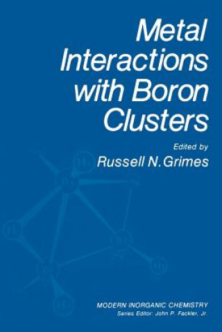 Kniha Metal Interactions with Boron Clusters 