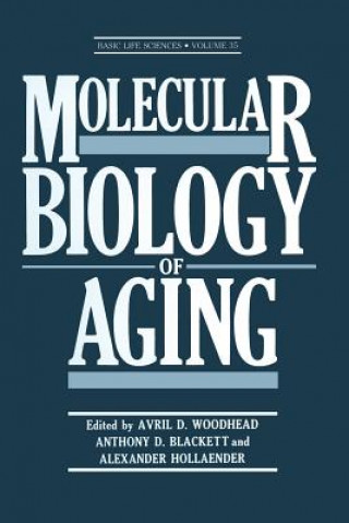 Kniha Molecular Biology of Aging Avril D. Woodhead