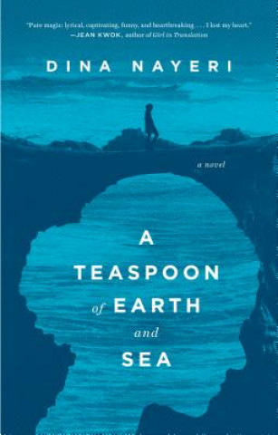 Könyv Teaspoon of Earth and Sea Dina Nayeri