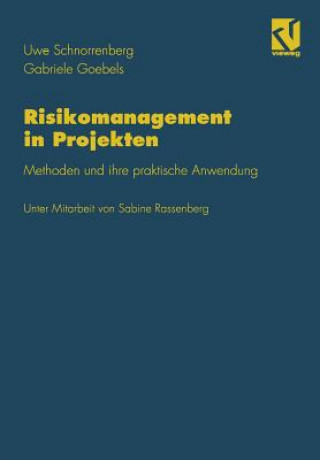 Kniha Risikomanagement in Projekten Gabriele Goebels